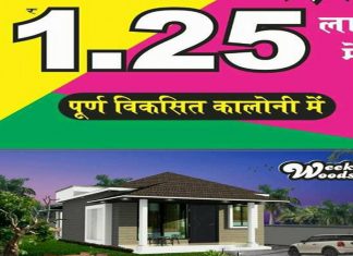 Most Affordable House Plant Only in 1.25 lakhs Everyone Will Like