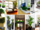 Top 10 Beautiful Artificial Indoor Plants Ideas Everyone Will Like