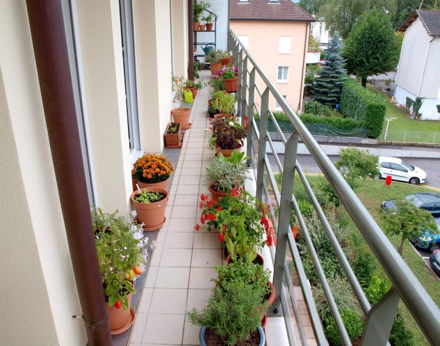 apartment balcony designs with garden