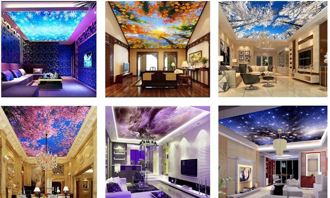 Innovative Ceiling Mural Home Design Ideas