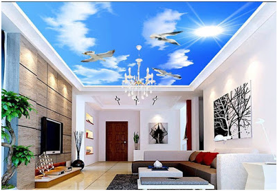 stylish Ceiling Mural Home Design Ideas