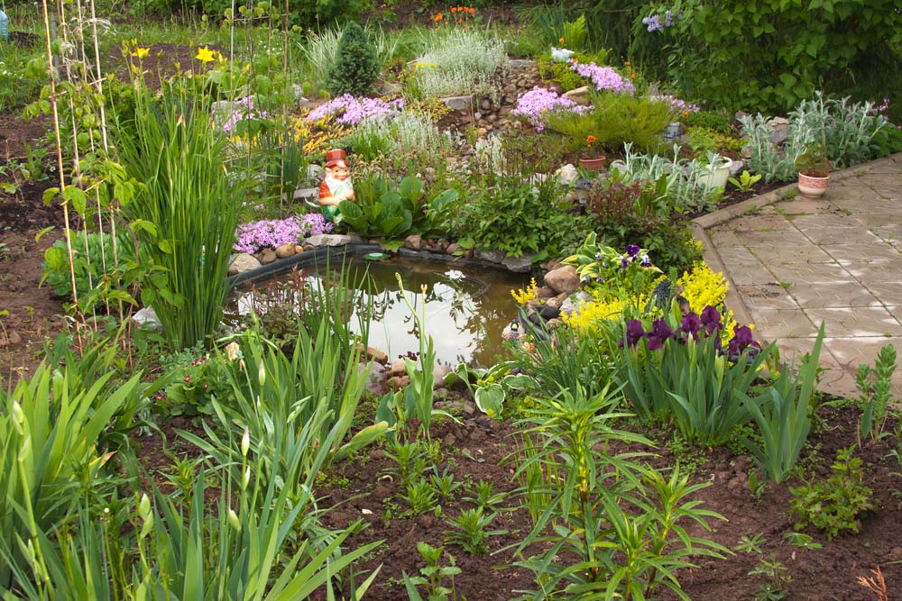 Make a garden with a little pond inside it