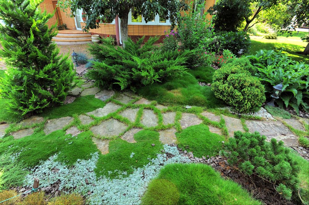 Ground covered green gardens are evergreen