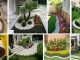 Design Your Houses With The 5 Most Stylish Home Garden Design Ideas Today amazing ideas for your garden