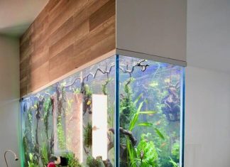 What are the 5 Best and Simple Aquarium Decoration Ideas? modern aquarium design ideas