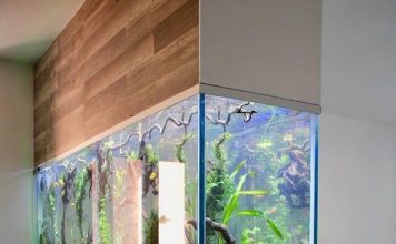 What are the 5 Best and Simple Aquarium Decoration Ideas? modern aquarium design ideas