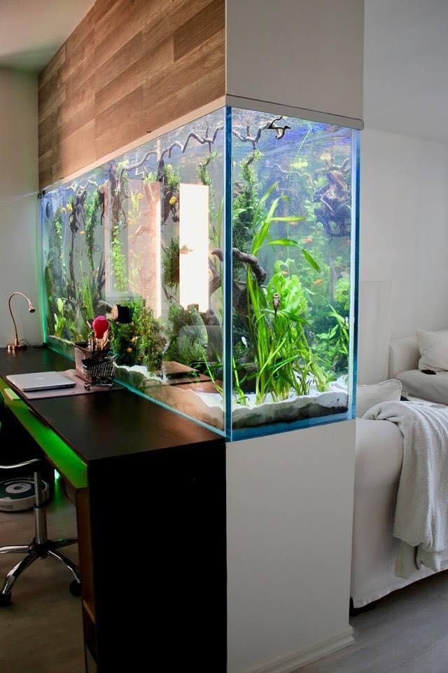 simple aquarium decoration