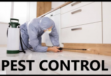 Tips to Maintain Your Antique Interiors and Furniture