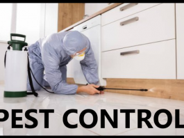 Tips to Maintain Your Antique Interiors and Furniture