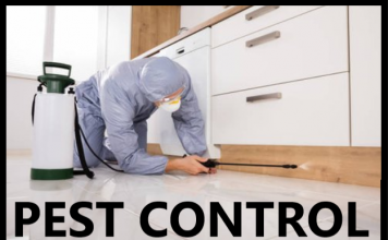 Tips to Maintain Your Antique Interiors and Furniture